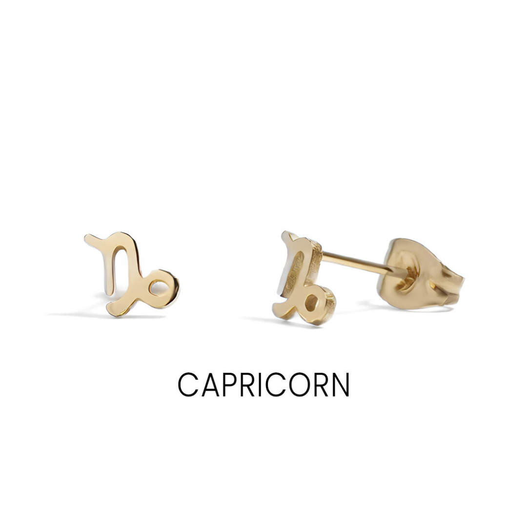 Small Zodiac Sign Studs