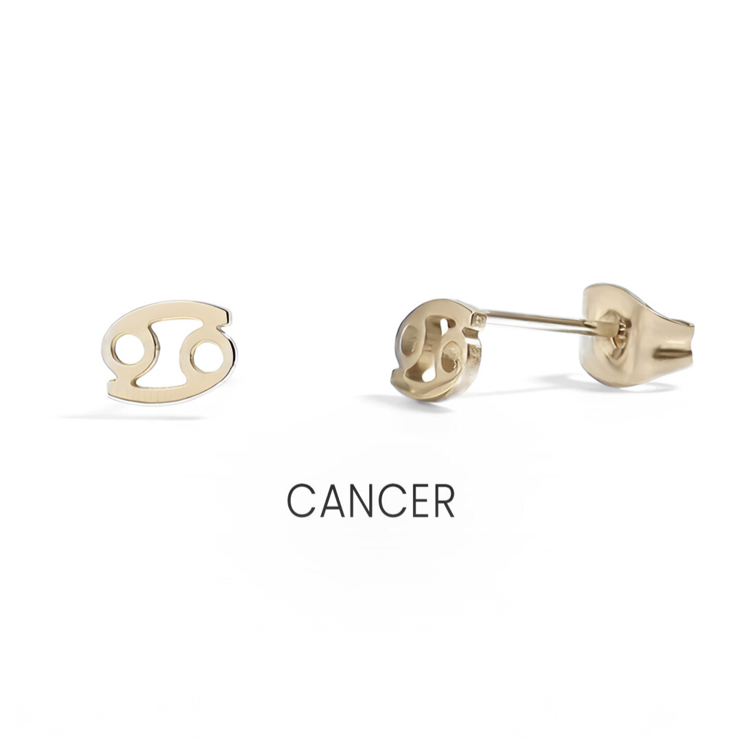 Small Zodiac Sign Studs